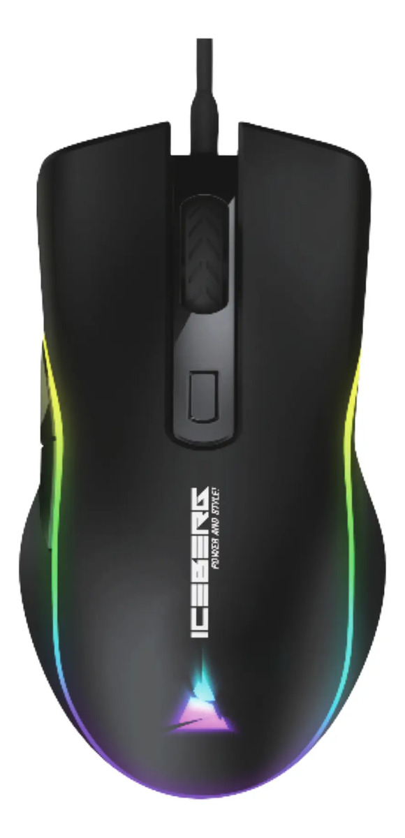 Miniatura 13